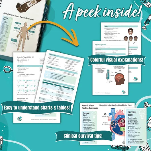Nicole Kupchik Critical Care Survival Guide, Bedside Reference for Nurses