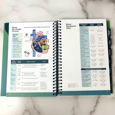 Nicole Kupchik Critical Care Survival Guide, Bedside Reference for Nurses