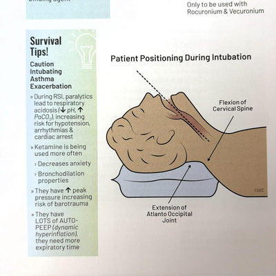 Nicole Kupchik Critical Care Survival Guide, Bedside Reference for Nurses