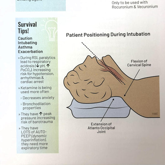 Nicole Kupchik Critical Care Survival Guide, Bedside Reference for Nurses
